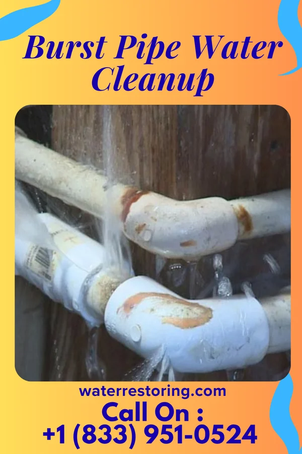 Burst Pipe Water Cleanup in Three Creeks, MO