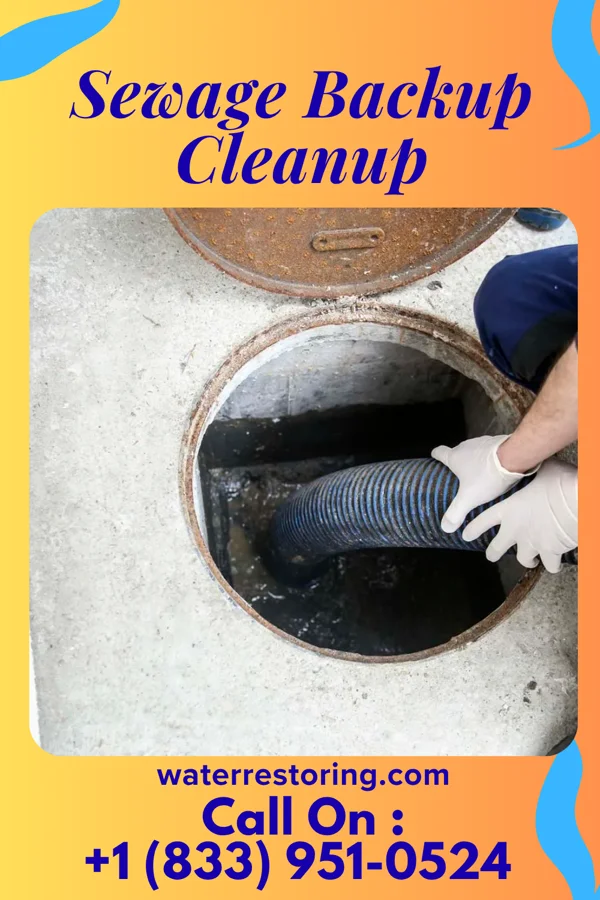 Sewage Backup Cleanup in Three Creeks, MO