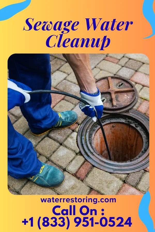 Sewage Water Cleanup in Three Creeks, MO